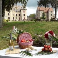 Fantastic Picnic