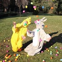 La chasse aux œufs